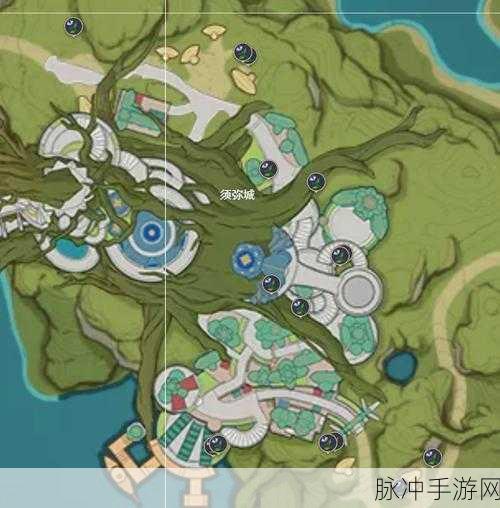 原神帕蒂沙兰分布全解析，具体位置与采集攻略