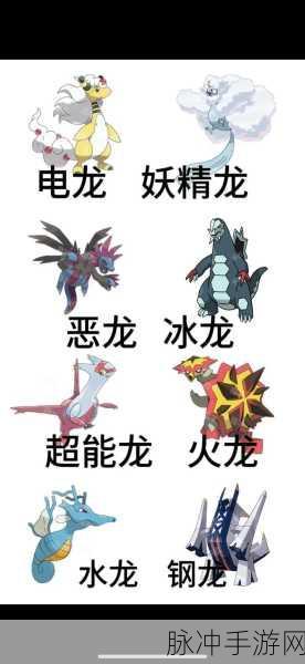 口袋妖怪釉色,探寻龙之波动的奥秘