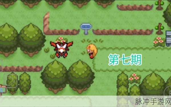 口袋妖怪釉色,探寻龙之波动的奥秘