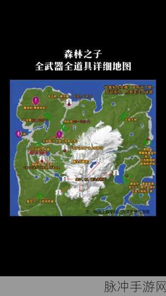 森林之子十字架,神秘道具的全方位用途解析