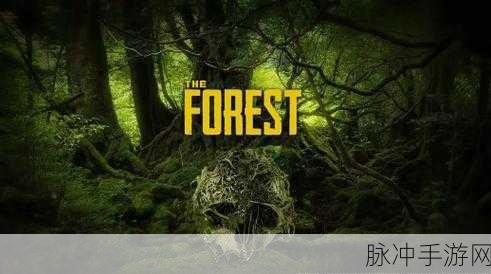森林之子十字架,神秘道具的全方位用途解析