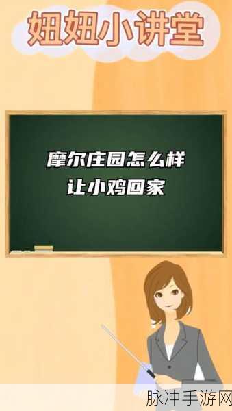 摩尔庄园手游攻略，轻松掌握小鸡回家与家禽动物收回技巧