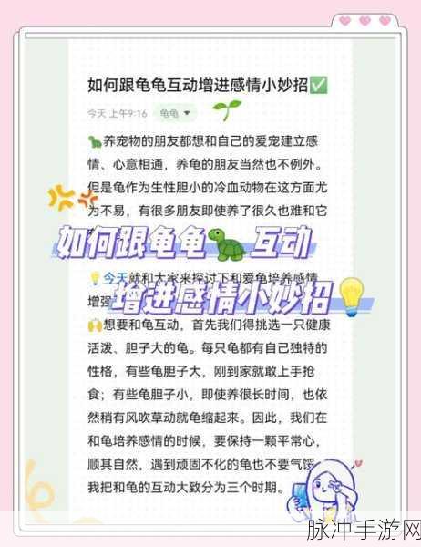 乌龟的爬行,探索简单乐趣的休闲闯关之旅手游下载攻略