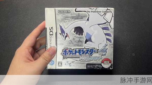 口袋妖怪银魂,精灵配招与道具搭配全攻略