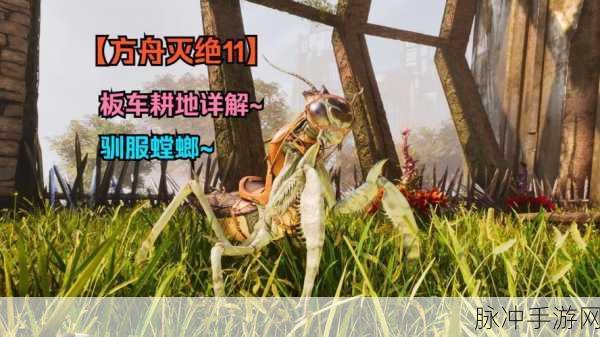 方舟生存进化手游攻略,解锁万能耕地的高效方法