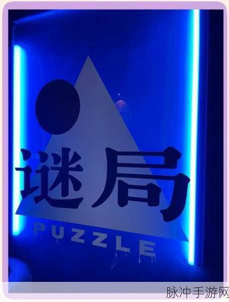 烧脑数字迷阵,解锁智慧与乐趣的解谜之旅