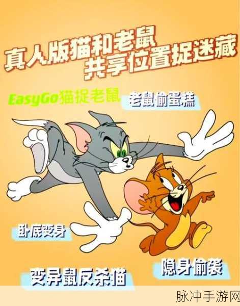 手游攻略,揭秘猫鼠大战中猫和老鼠的个性特征与战术运用