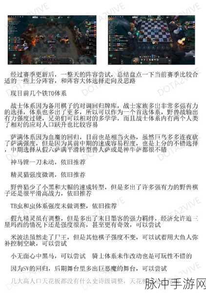 刀塔自走棋全面解析，深度拓展游戏术语与网友精彩评价