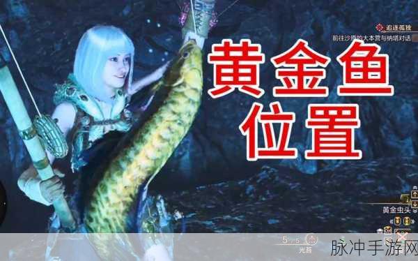 黄金之乡,怪物猎人世界的神秘秘境深度探索攻略