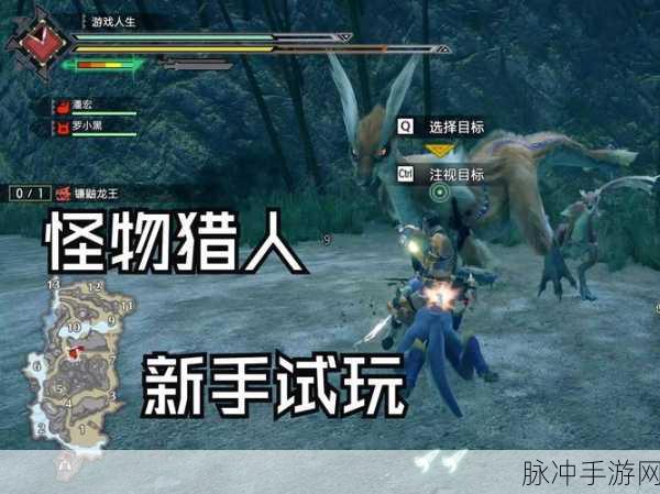 黄金之乡,怪物猎人世界的神秘秘境深度探索攻略