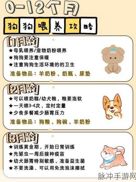 烟雨江湖西门吹雪喂狗任务全攻略,轻松掌握喂狗技巧
