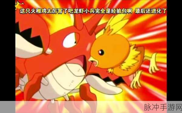 口袋妖怪复刻深度攻略,火稚鸡性格选择与培养指南