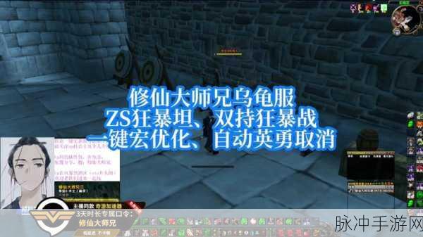 魔兽世界手游攻略，全面解析伤害数字的显示方法
