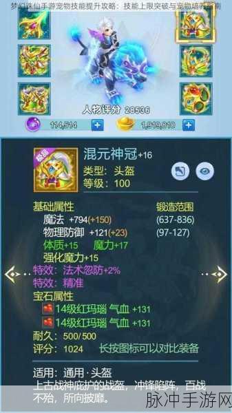 梦幻诛仙手游玩家必备，全面解析高级法穿属性获取攻略