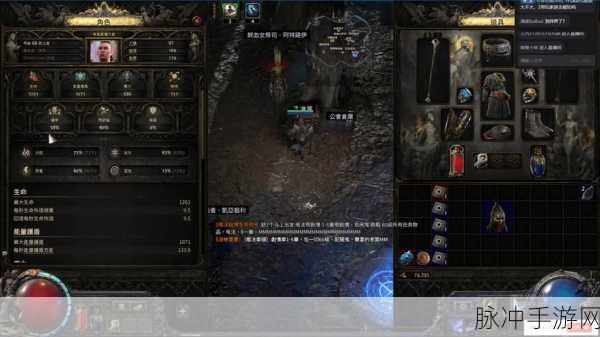 流放之路深度探索，揭秘技能石之谜与策略运用