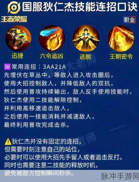 王者荣耀半肉狄仁杰高效作战，装备搭配与技巧深度分享解析