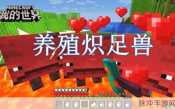 我的世界炽足兽繁殖方法全解析