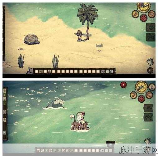 饥荒的阿姨 5，神秘岛屿的生存挑战全攻略