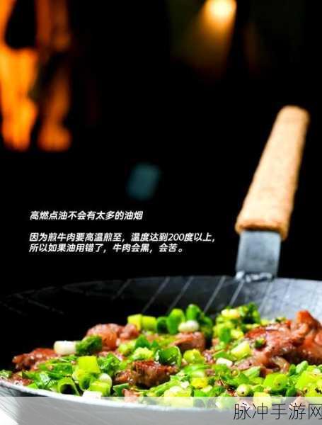 小森生活深度探索，神户牛排独家菜谱及解锁秘笈——烹饪指南与制作技巧