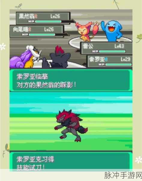 口袋妖怪漆黑的魅影班吉拉配招深度解析