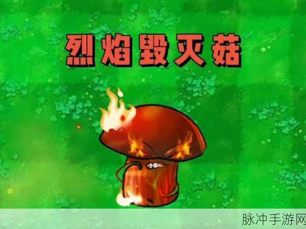 探秘植物大战僵尸手游,毁灭菇的现实原型与蘑菇家族大揭秘