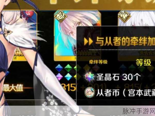 FGO国服杀狐上线时间全面揭秘,最新实事信息深度解读
