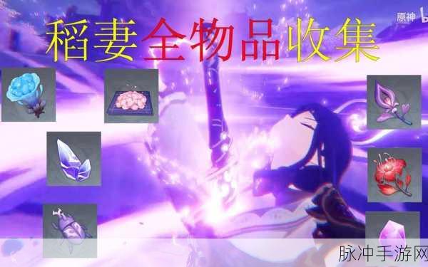 原神绯樱绣球位置全攻略,稻妻区域的紫色宝藏