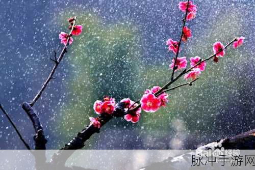 倩女幽魂手游绛雪与元霜玩法深度解析