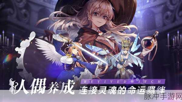 复苏的魔女刺杀型角色深度培养指南