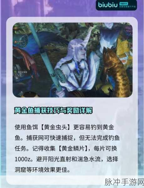 QQ飞车手游攻略，揭秘小橘子钓金鱼活动位置与玩法
