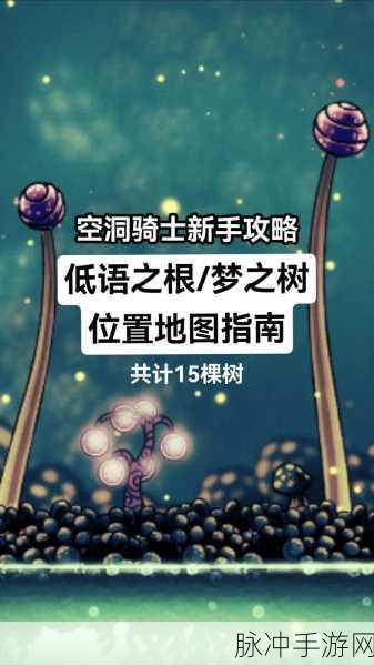 觉醒圣骑士，地牢探险之旅的全面攻略