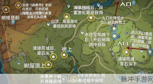 原神探索揭秘，塔尼特露营地草神瞳寻觅指南
