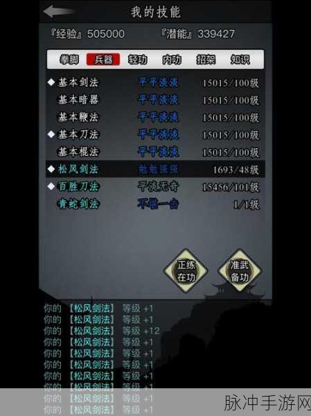 放置江湖昆仑派高效技能加点与武功选择深度策略解析