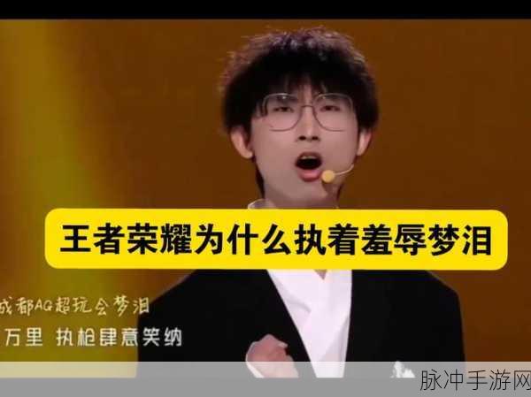 王者荣耀深度解析,梦泪与他的信仰——梦之泪伤的传奇之路