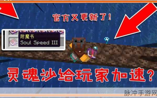 我的世界手游攻略，揭秘灵魂沙的多样用途与使用方法