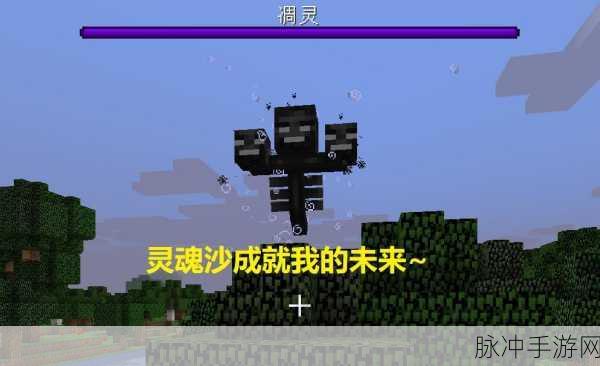我的世界手游攻略,揭秘灵魂沙的多样用途与使用方法