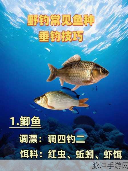 咸鱼之王钓鱼技巧全解析，助你成为垂钓大师