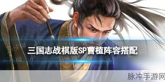 三国志战棋版娄圭阵容搭配解析与实战应用深度剖析