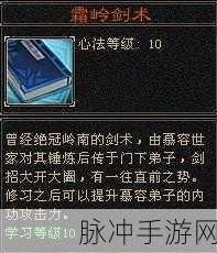 天下无双剑客传奇,伊吕波的剑术与神秘技能深度剖析