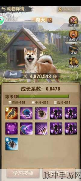 神雕侠侣手游，宠物迷城探险启航，萌宠新篇章解锁悬念全攻略