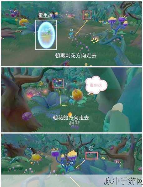 摩尔庄园地下城堡探险指南,揭秘宝箱钥匙的藏匿之处