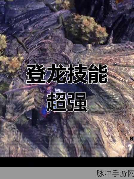 怪物猎人崛起登龙与樱花之间的抉择——深度攻略与技能推荐
