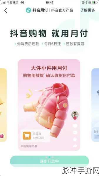 抖音月付在手游购买中受限,原因分析与应对策略