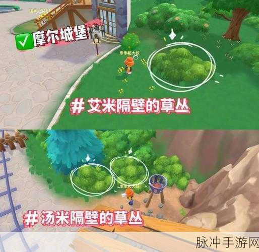 摩尔庄园手游，全面解锁快速赚取摩尔豆的高效秘籍
