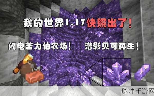 我的世界潜影贝刷新位置全攻略,探索末地城的神秘生物