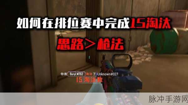 揭秘和平精英战场,四排战术的魅力与深度策略解析