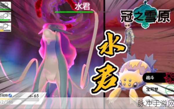 宝可梦剑盾冠之雪原主线探险，深入极巨巢穴的奇妙之旅