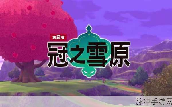 宝可梦剑盾冠之雪原主线探险，深入极巨巢穴的奇妙之旅