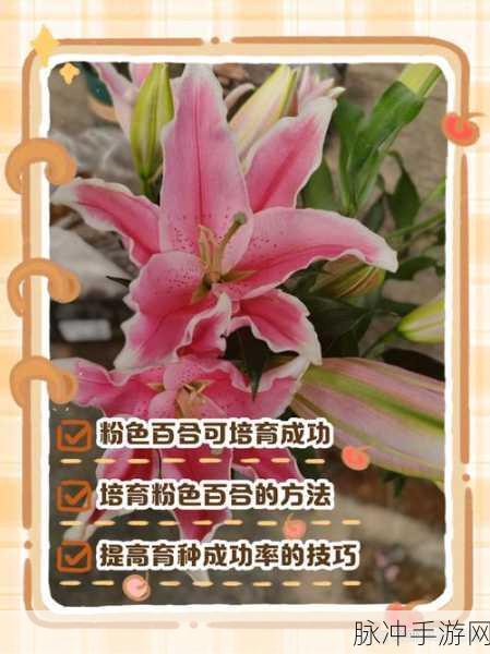 桃源深处有人家，解锁百合花的自然清新配色技巧