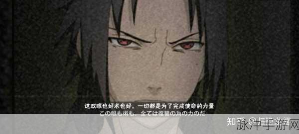 火影忍者手游奥义技能深度解读,地怨虞·最终射击与所属忍者角都的全面剖析